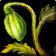 Direbrew Hops